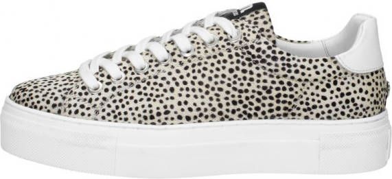 Maruti sneakers ted hairon leather Beige Dames - Foto 4