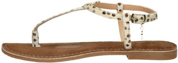 Mexx Galena