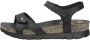 Panama Jack NU 21% KORTING: sandaaltjes Sulia basics met sleehak - Thumbnail 3