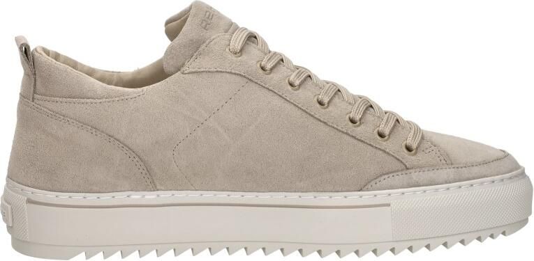 Rehab Crash Sue - Foto 6