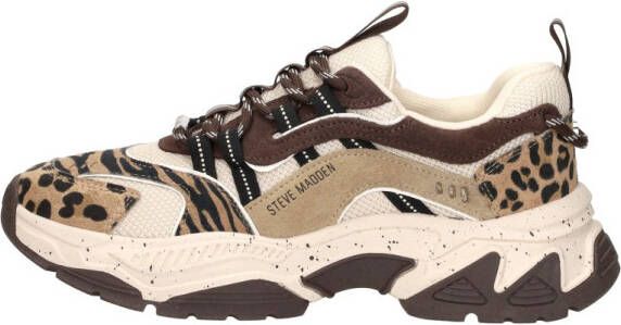 Steve Madden Animates-l