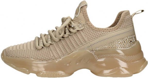Steve Madden Jmaxima
