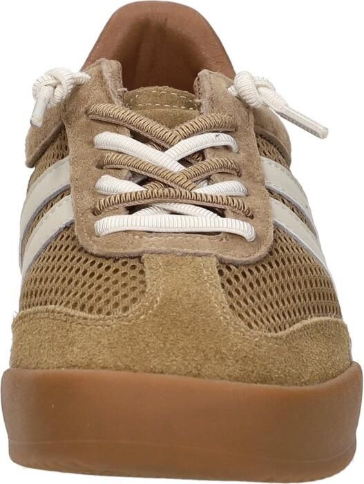 Steve Madden Verdict Sneakers Laag Cognac - Foto 4