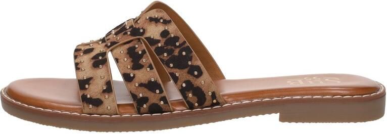 Sub55 Open Teen Middel Bruin