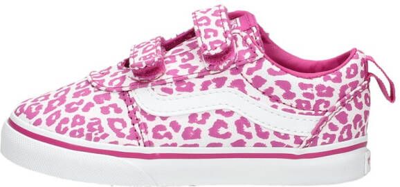 Vans Ward V Fuchsia