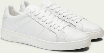 Scarpe Scotch & Soda Plakka 2.0: Le Sneakers Uomo In Pelle Scamosciata Che Spaccano!