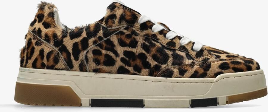 Shabbies Amsterdam Hope Base sneaker Leopard pony Lichtbruin - Foto 2