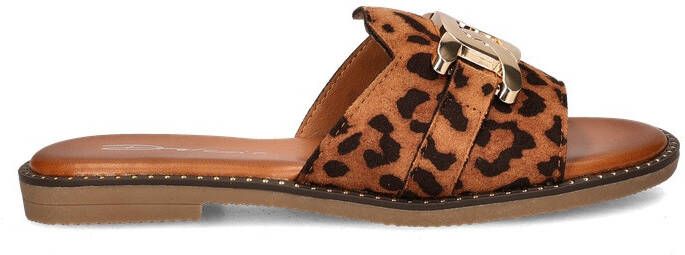 Dolcis slippers
