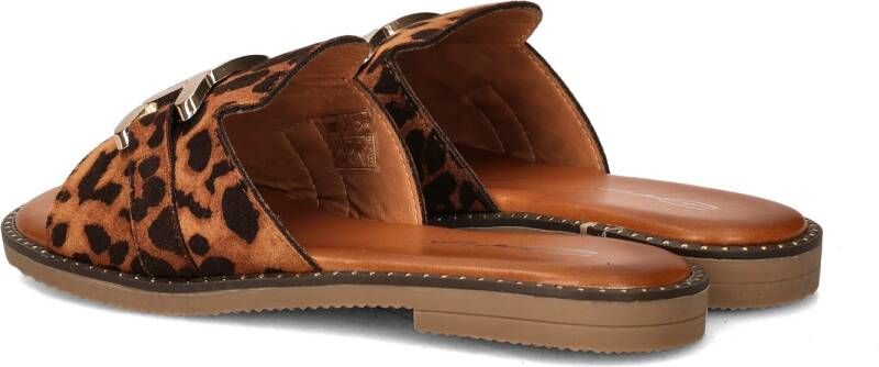 Dolcis slippers