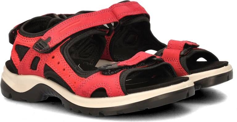ECCO Offroad Atmos sandalen