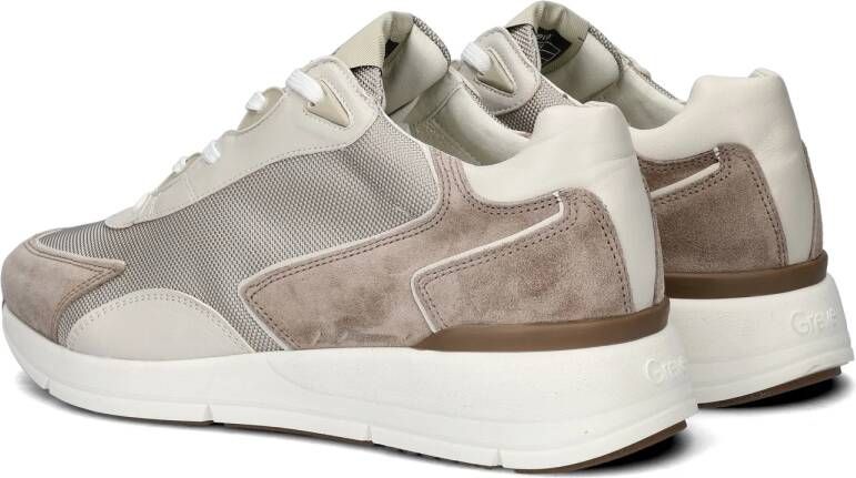 Greve Walker sneakers