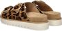 Nelson slippers met ponyhair en panterprint cognac zwart - Thumbnail 5