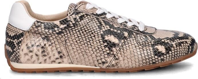 Fred de la Bretoniere Uta Base Sneaker Snake Beige - Foto 2