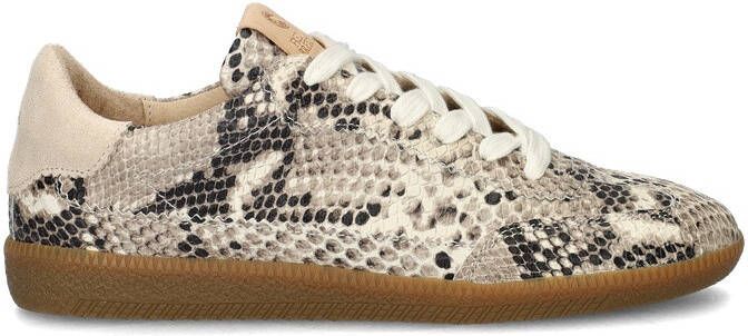 FRED DE LA BRETONIERE Lage Sneakers Dames Pearl Sign Maat: 38 Materiaal: Leer Kleur: Beige - Foto 4