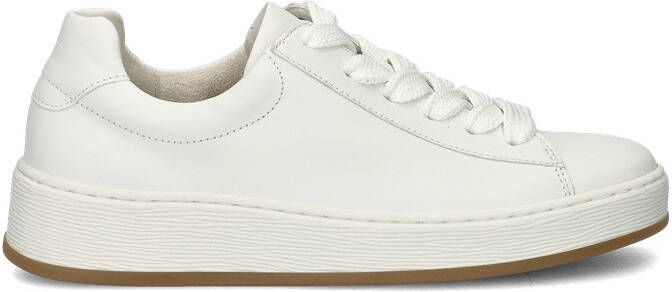 Gabor Comfort Optifit lage sneakers