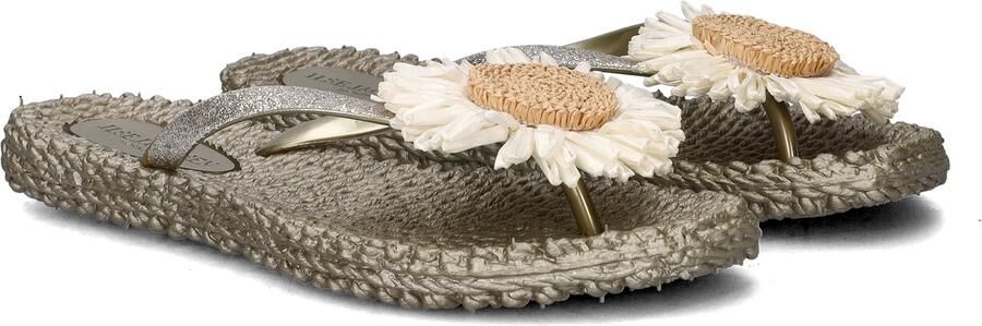 ILSE JACOBSEN Teenslippers Dames Cheerful16f Maat: 37 Materiaal: Rubber Kleur: Zilverkleurig - Foto 13