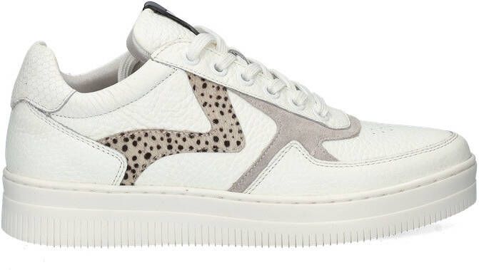 Maruti Momo lage sneakers