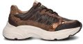 Nelson lage sneakers - Bruin