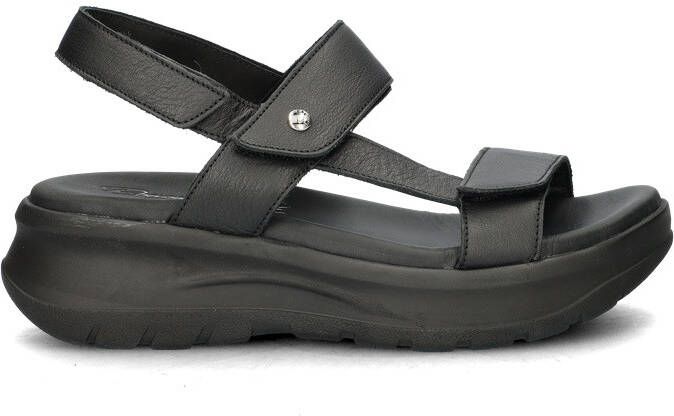 Panama Jack Noor sandalen