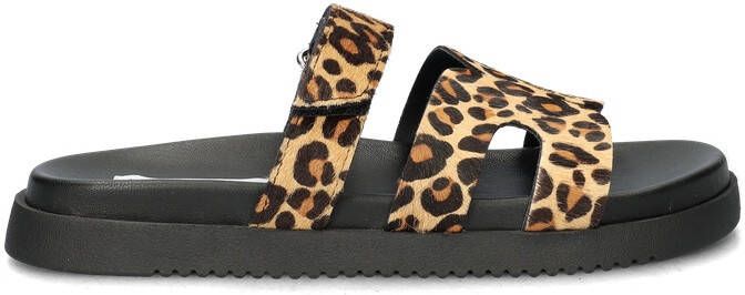 Steve Madden Missile sandalen