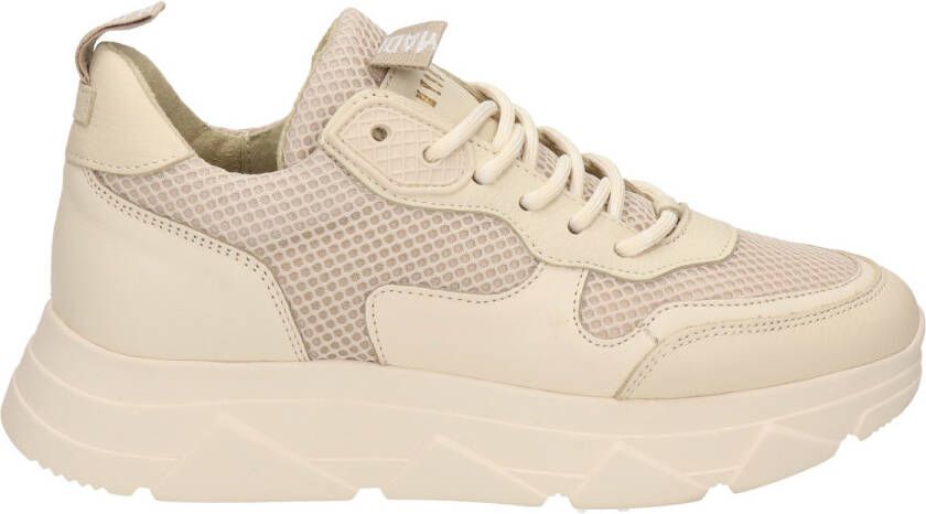 Steve Madden Pitty dad sneakers