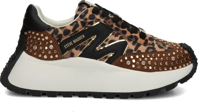 Steve Madden Beige Supercampo Sneaker voor dames