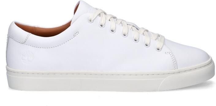 Timberland Dover Park Low Schoenen Wit Man - Foto 2