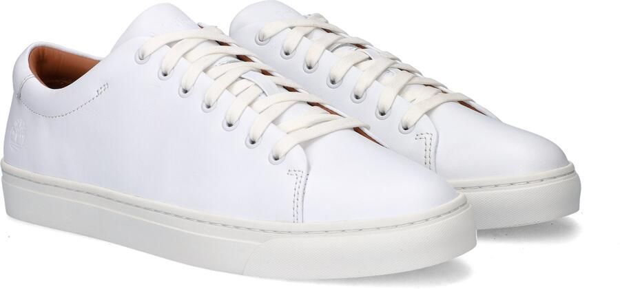 Timberland Dover Park Low Schoenen Wit Man - Foto 3