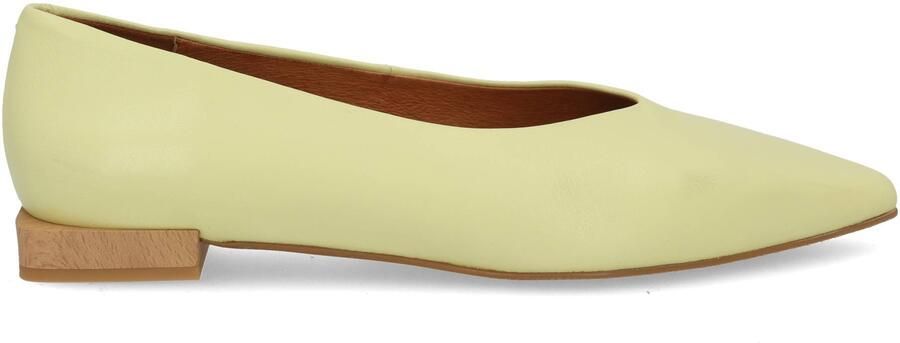 Angel Alarcon 25508 canarino Geel