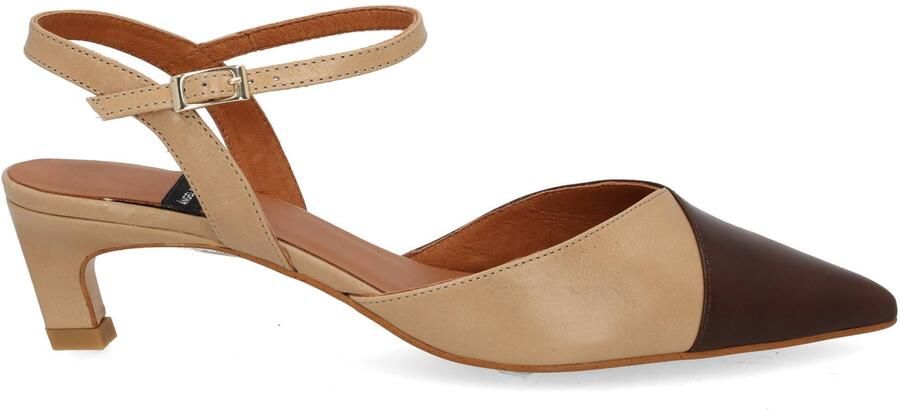 Angel Alarco 26012 cafe multi bruin