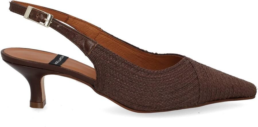 Angel Alarco 26020 testa Bruin