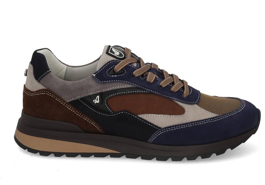 Australian Sparrow blue taupe Blauw