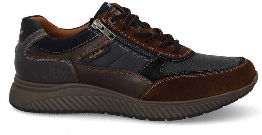 Australian Maurizio blue tan taupe