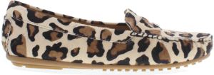 Babouche 700-8 leopardo multi bruin