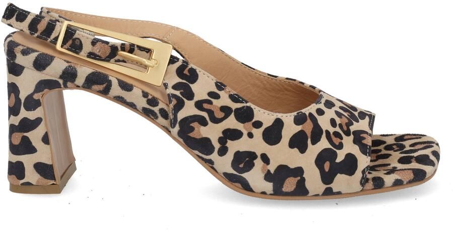 Babouche G-Biba-2 leopardo Multi