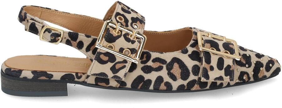 Babouche G-Soya-2 leopardo multi bruin