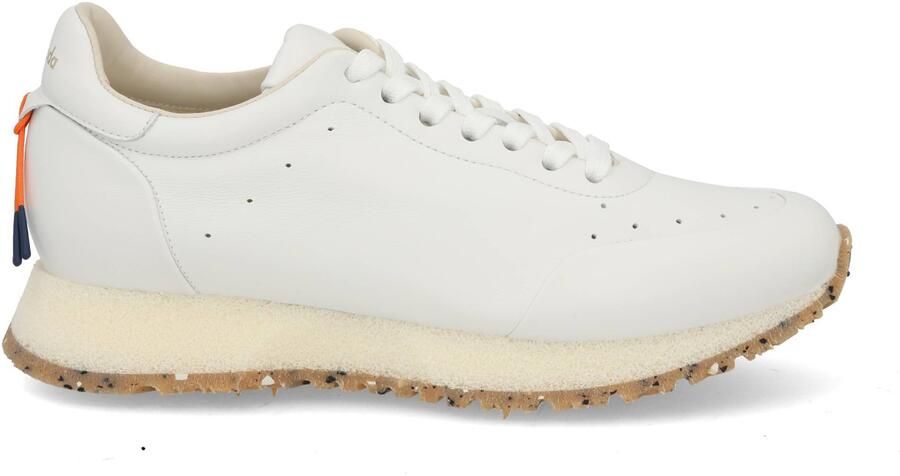 Barracuda BD1201 bianco Wit