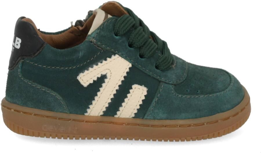 Develab 44453 533 forest Groen