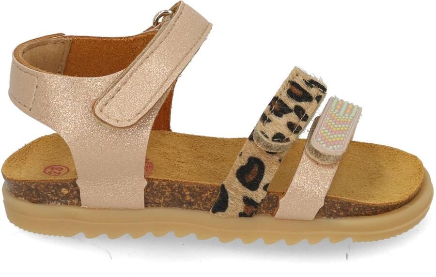 Develab 48522 471 old pink Rose