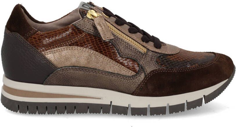 DL Sport 6725 vers 02 cacao multi bruin