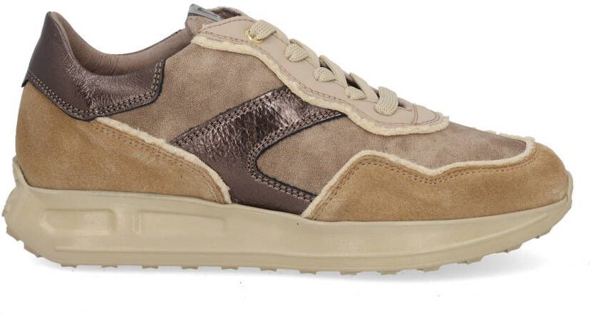 DL Sport 6756 vers 07 tappo taupe