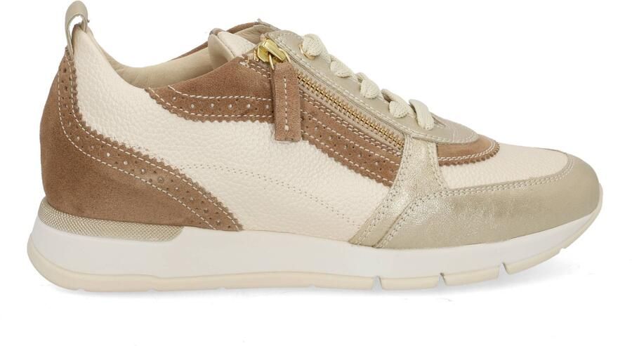 DL Sport 6931 vers 02 platino Goud