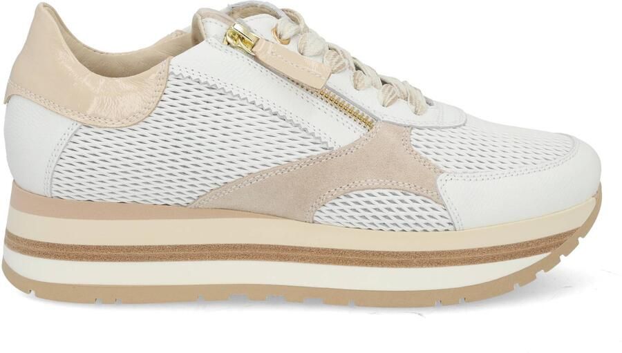 DL Sport 6982 vers 01 white Wit