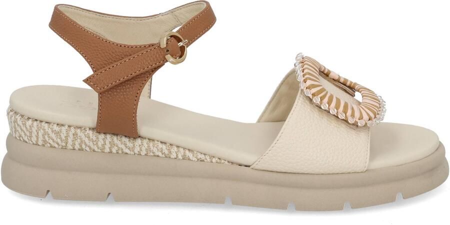 DL Sport 7043 vers 01 osso bro multi bruin