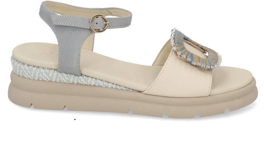 DL Sport 7043 vers 04 osso pol multi blauw