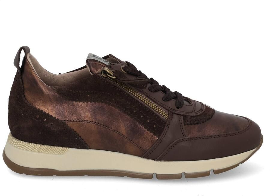 DL Sport 7116 vers 02 TDM Bruin