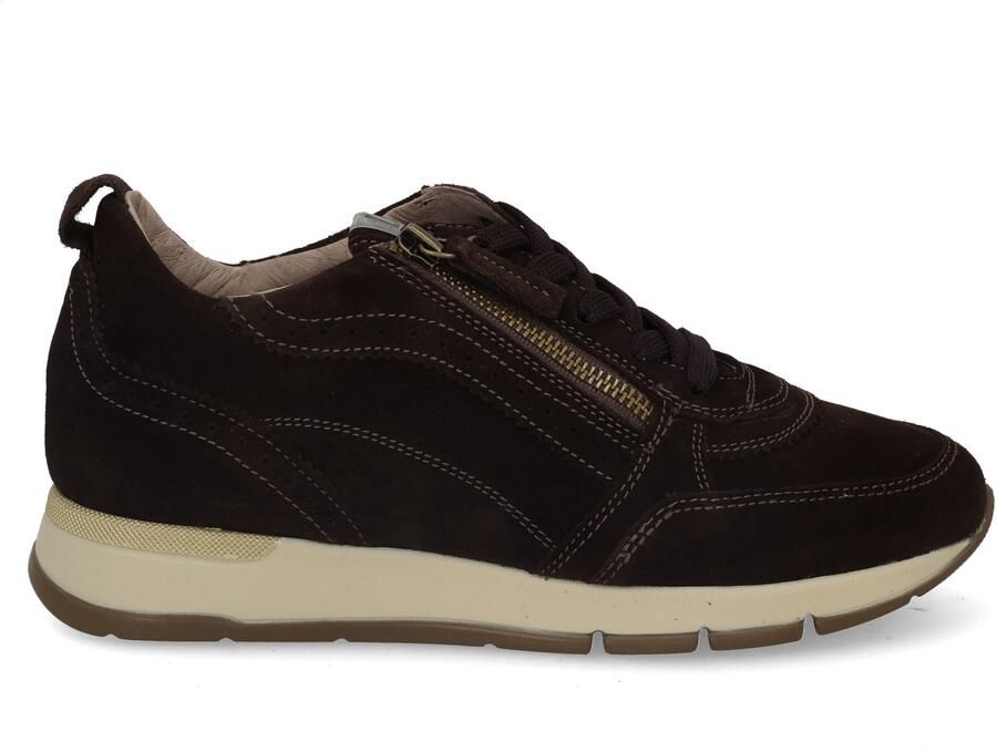 DL Sport 7116 vers 06 cacao Bruin