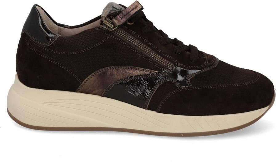 DL Sport 7131 vers 03 cacao Bruin