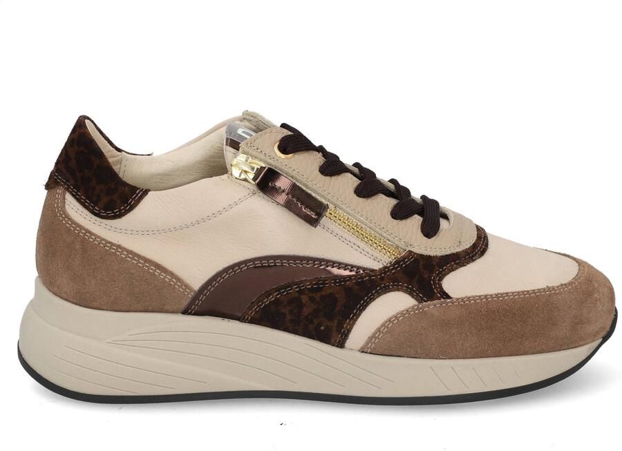 DL Sport 7132 vers 04 shore of Beige