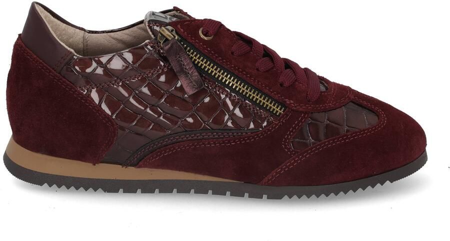 DL Sport 7135 vers 04 rubino bordo